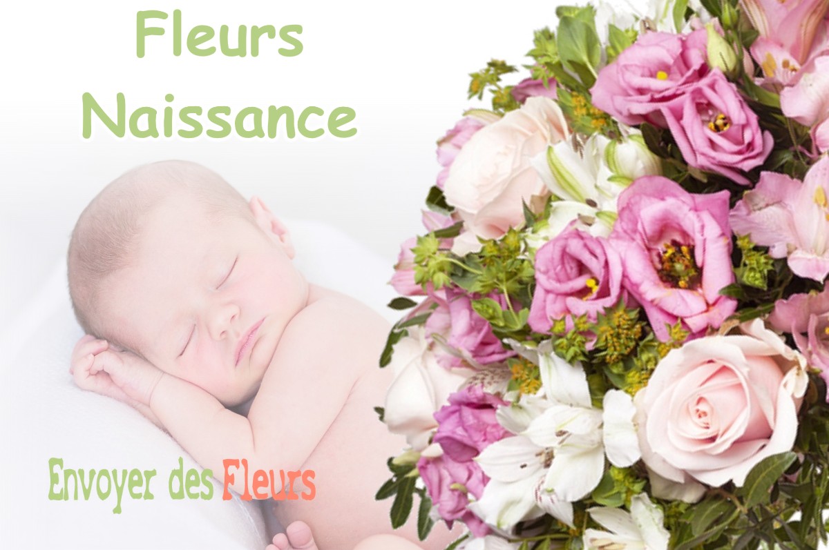 lIVRAISON FLEURS NAISSANCE à CLAIRVAUX-LES-LACS